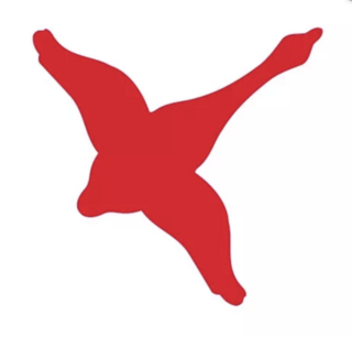 pikolinos coupon code